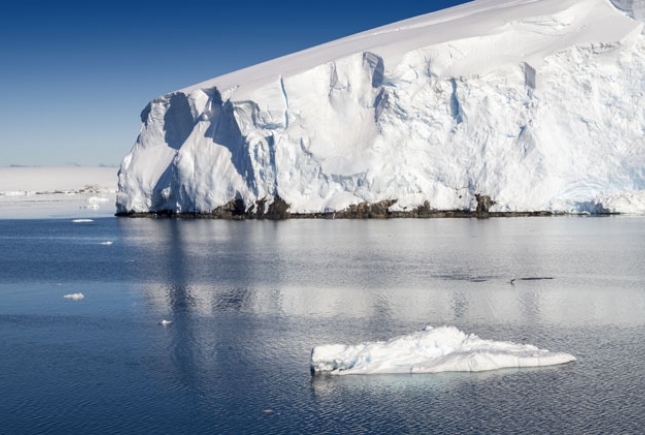 К отдельному типу ледяных гигантов относят. Ледник Тоттен. Остров во льду. Таяние ледников в Антарктиде. Ледяные острова Антарктиды.