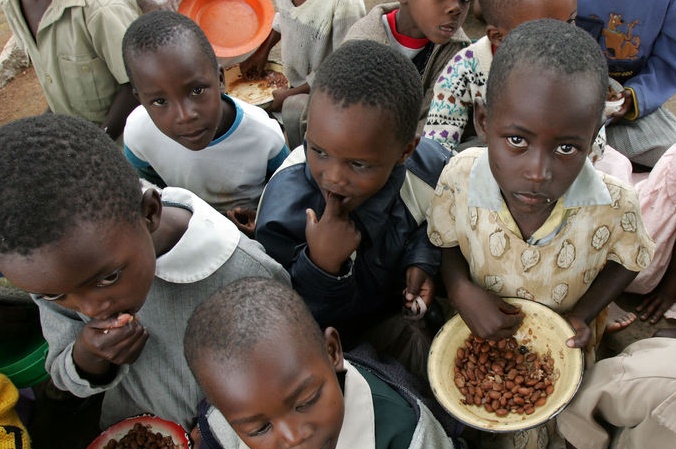 Проблема голода в мире. Продовольственная ситуация в мире.
